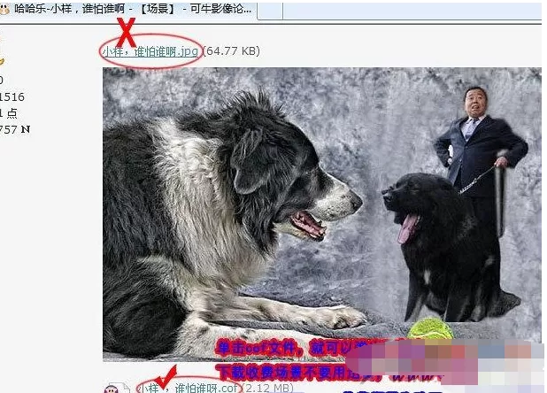 可牛影像场景如何下载?可牛影像场景下载的方法