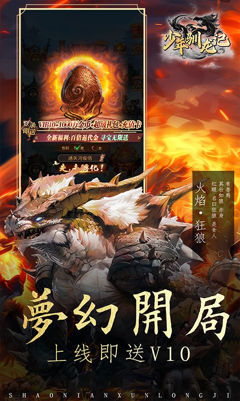 少年驯龙记（百倍高返）