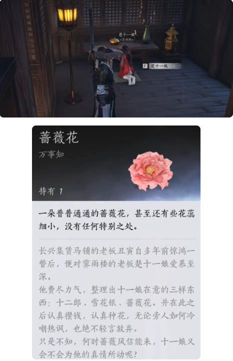 燕云十六声蔷薇风信任务怎么做?