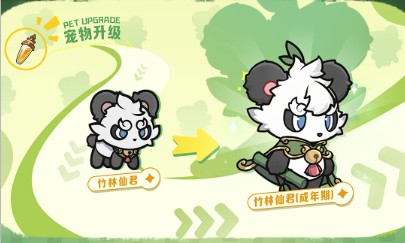 杖剑传说竹林仙君值得抽吗?