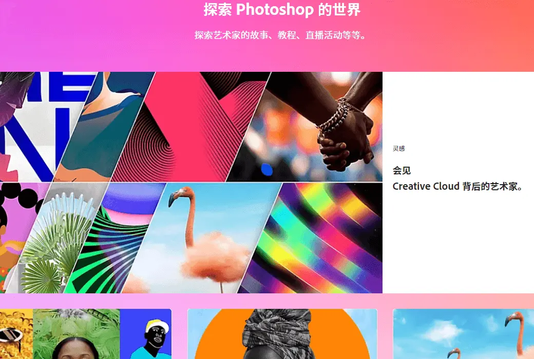 Adobe Creative Cloud 全家桶工具包 1年订阅截图