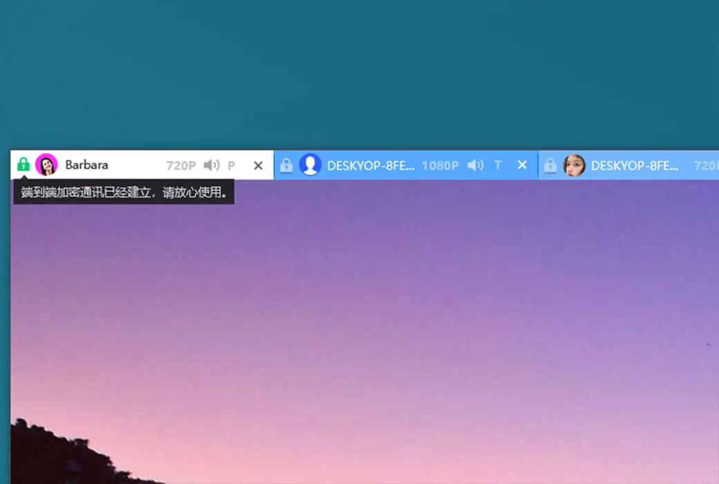 ToDesk 专业版 远程访问 远程控制 工具截图