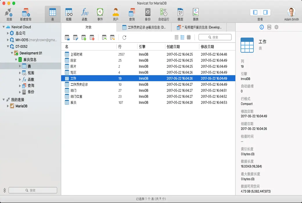 Navicat for MariaDB 数据库管理工具截图