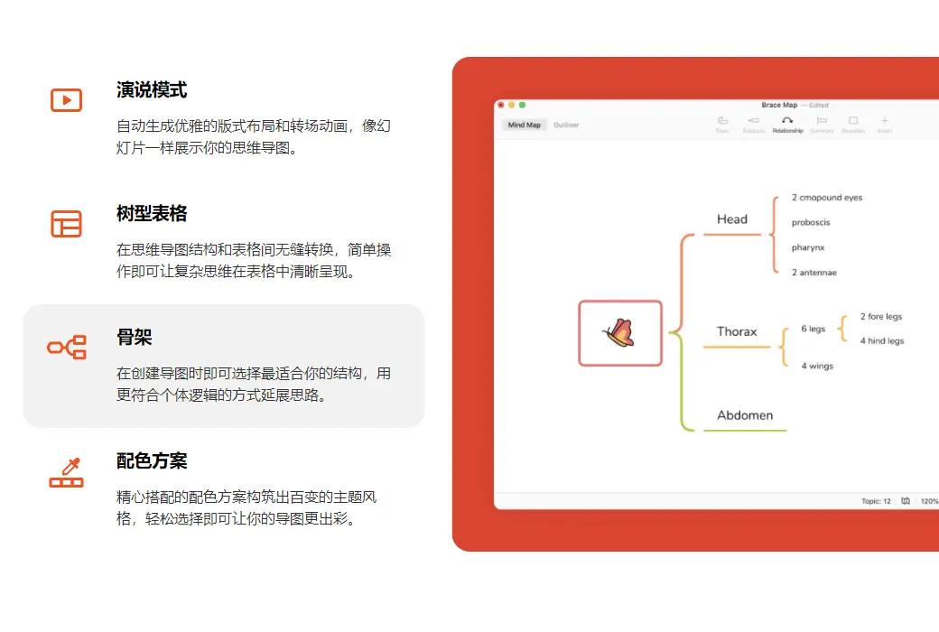 XMind Pro 专业思维导图脑图软件截图