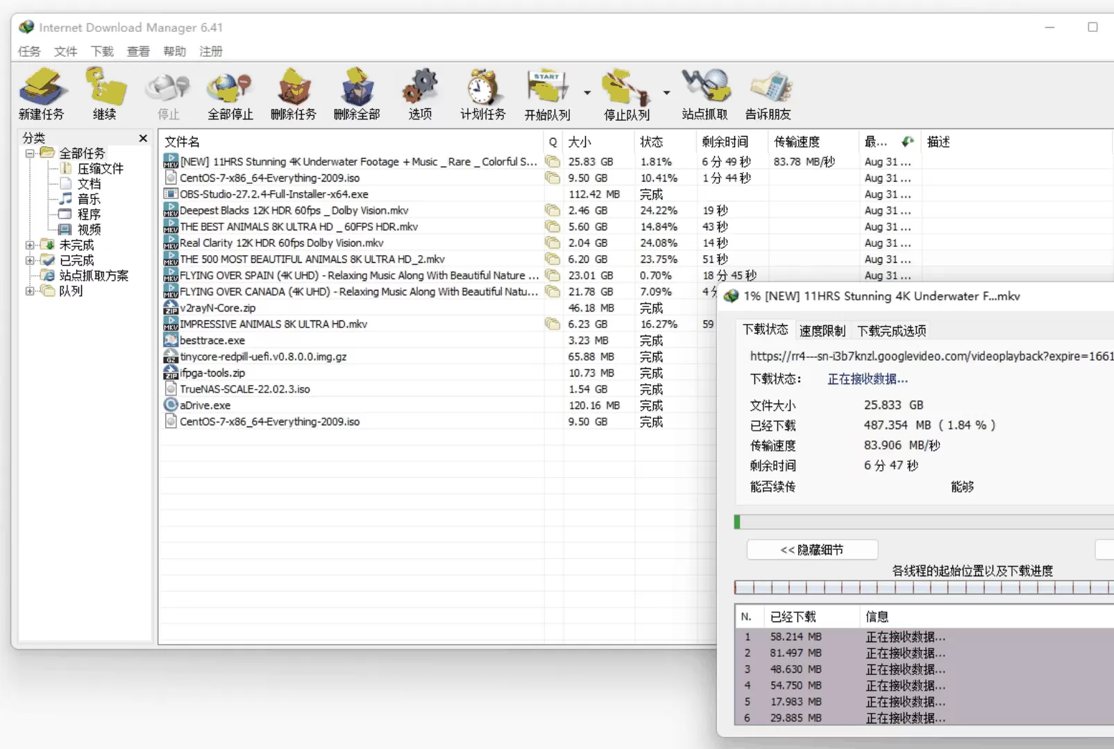 Internet Download Manager (IDM) 极速下载工具截图