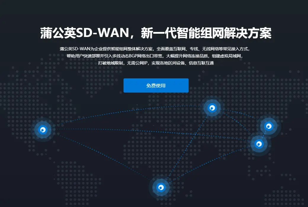 蒲公英 SD-WAN 智能异地组网工具软件截图