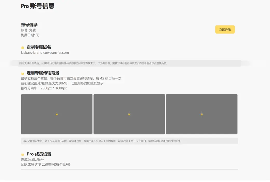 奶牛快传专业版 COWTRANSFER PRO 文件在线传输截图