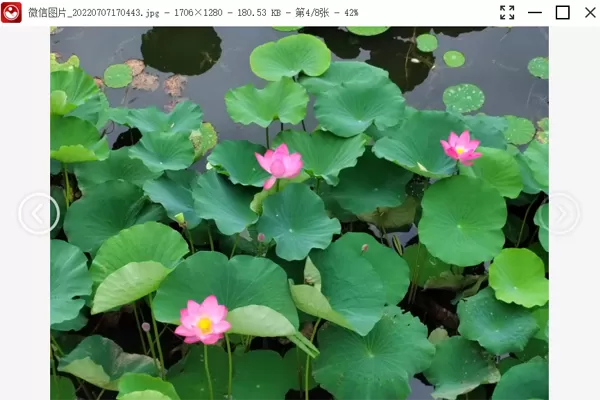 金舟看图王截图