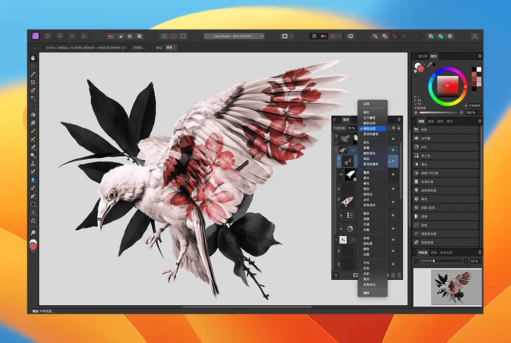 Affinity v2 通用许可证截图