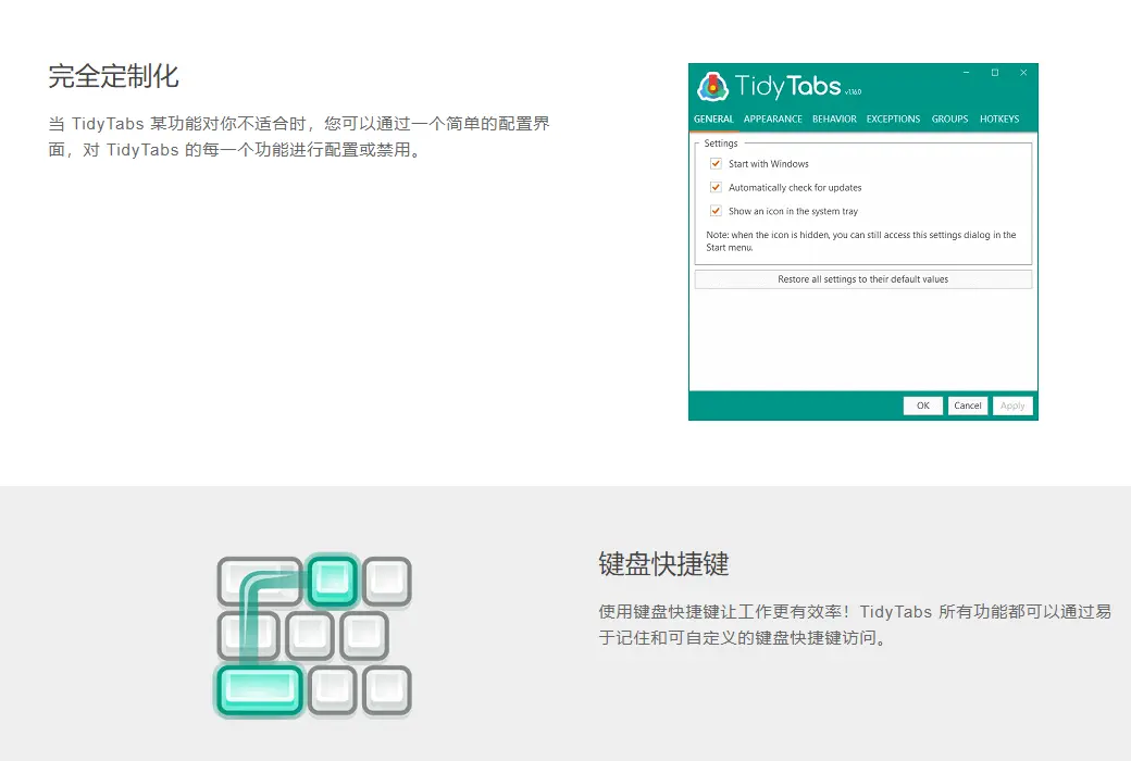 TidyTabs 桌面窗口管理标签化工具软件截图
