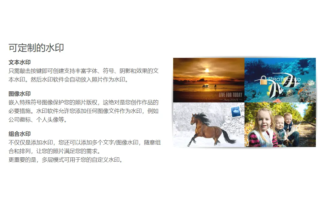 WonderFox Photo Watermark 图片水印批量处理软件截图