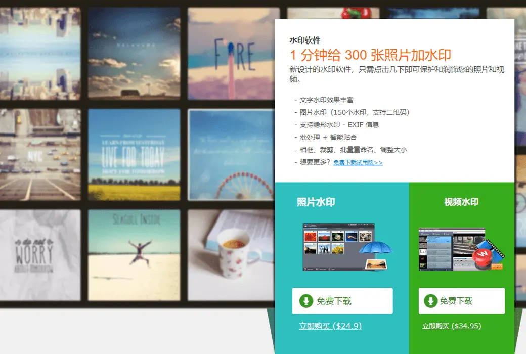 WonderFox Photo Watermark 图片水印批量处理软件截图
