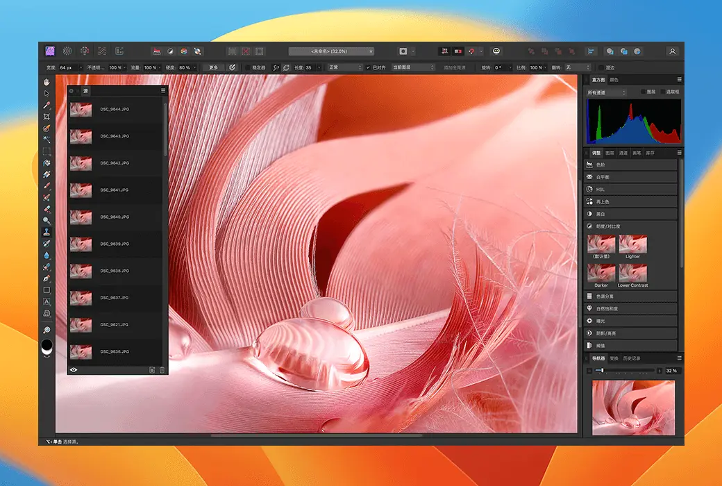 Affinity Photo 2 专业图片编辑软件截图