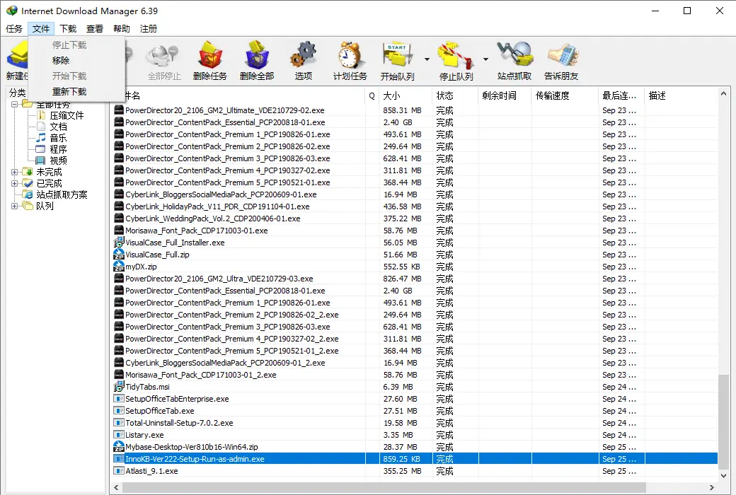 Internet Download Manager (IDM) 极速下载工具截图