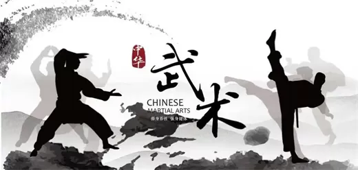 武术软件合集