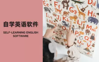 2025英语基础学习软件