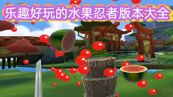 乐趣好玩的水果忍者版本大全
