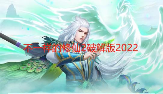 不一样的修仙2宗门破解版2024