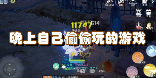 晚上自己偷偷玩的游戏