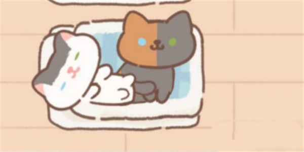 类似遇见你的猫的游戏