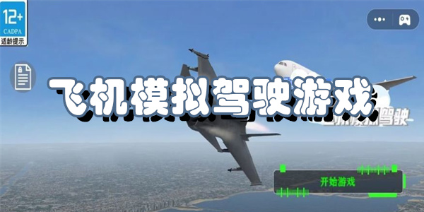 飞机模拟驾驶游戏