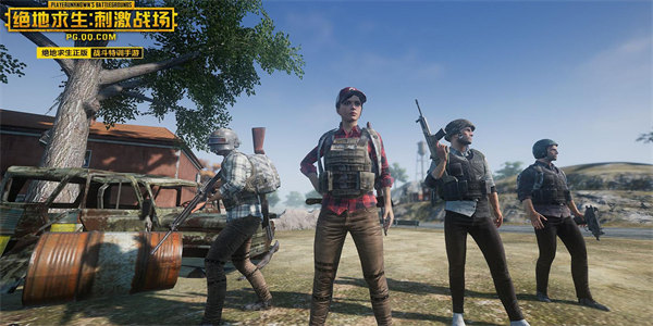 刺激战场国际服