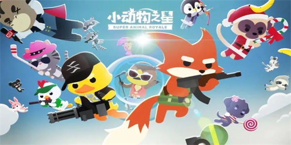 小动物之星