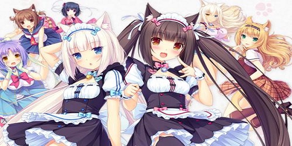 养猫娘游戏大全
