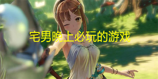 宅男晚上必玩的游戏