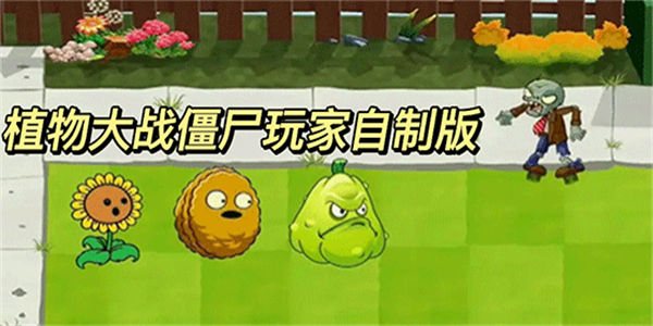 植物大战僵尸玩家自制版