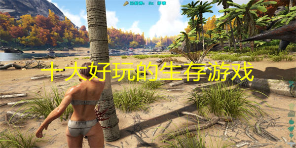 十大好玩的生存游戏