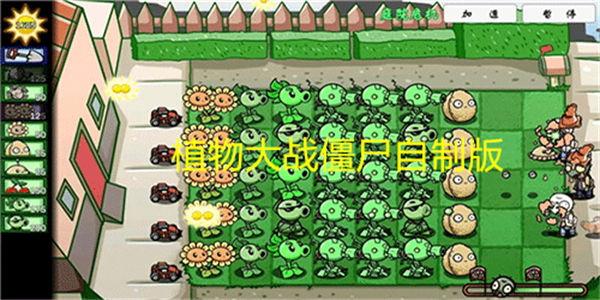 植物大战僵尸自制版