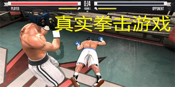 真实拳击游戏