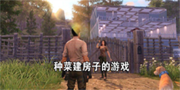 种菜建房子的游戏