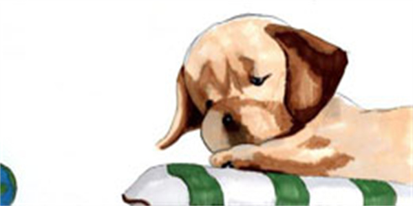 好玩不费时间的手游