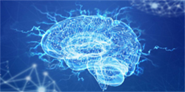 烧脑的高智商益智类手游