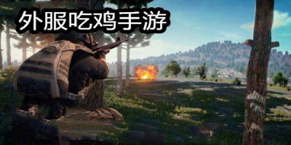 外服吃鸡手游