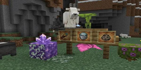 我的世界基岩版