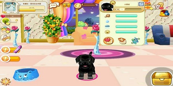 养狗赚钱的游戏合集