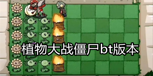 植物大战僵尸bt版本