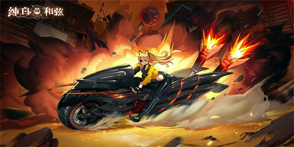 纯白和弦版本大全