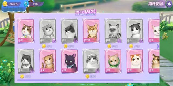 模拟养猫的游戏