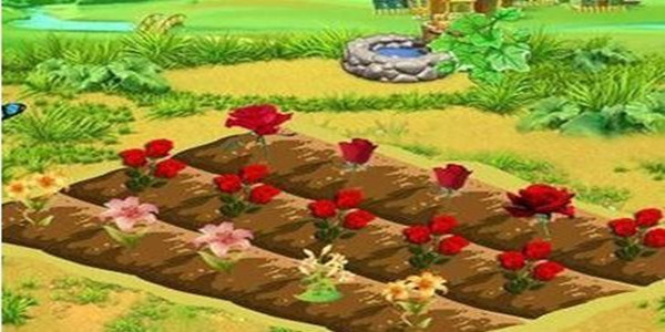 农场花园种植游戏