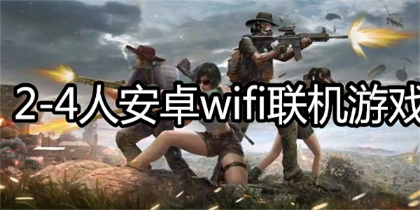 2-4人安卓wifi联机游戏