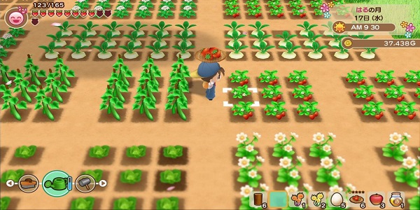 田园种植游戏