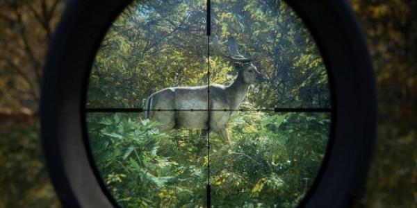 模拟猎人打猎的游戏合集