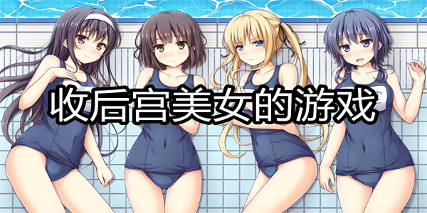 收后宫美女的游戏