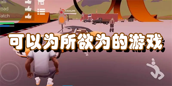 可以为所欲为的游戏