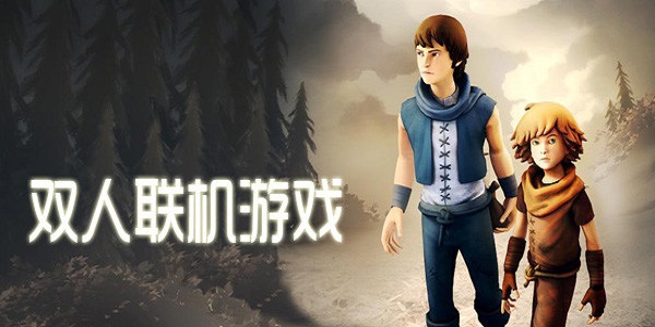 双人联机游戏大全